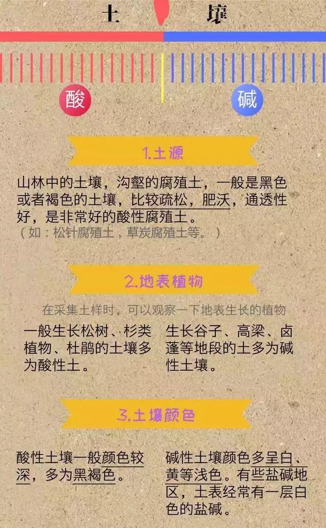土壤“生病”了！怪不得用那么多肥料也白搭，不容小视