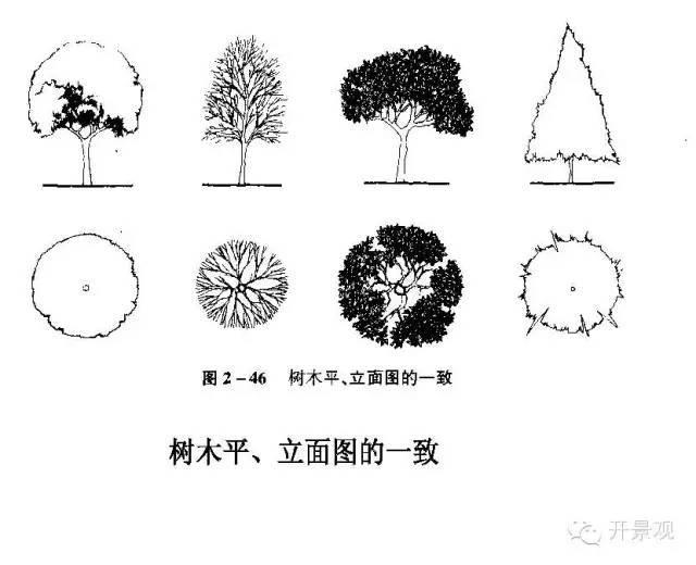 植物图例参考-园林景观植物