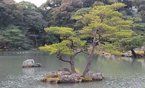 园林建设和健康