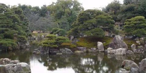 园林建设和健康