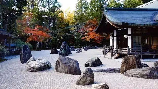 园林建设和健康