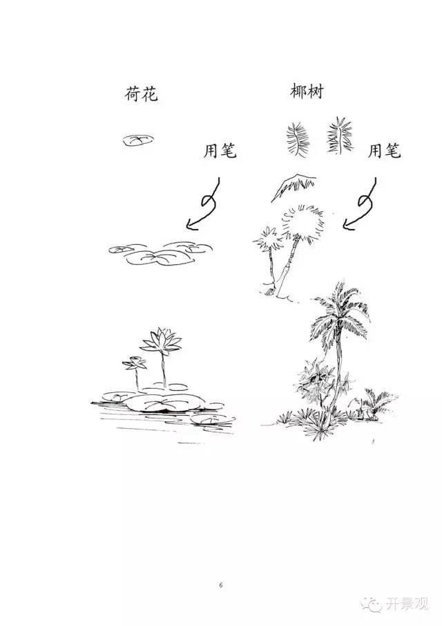 植物图例参考-园林景观植物
