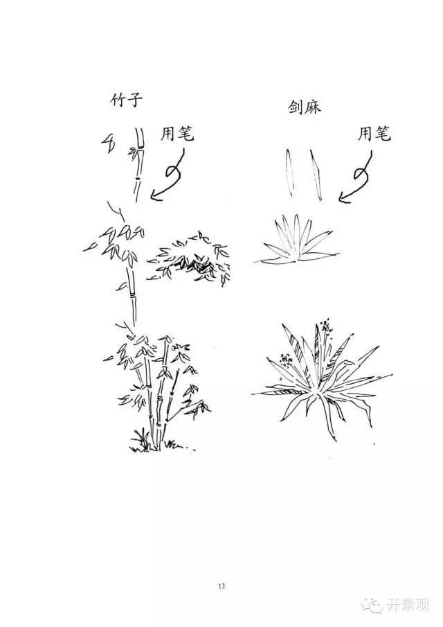 植物图例参考-园林景观植物