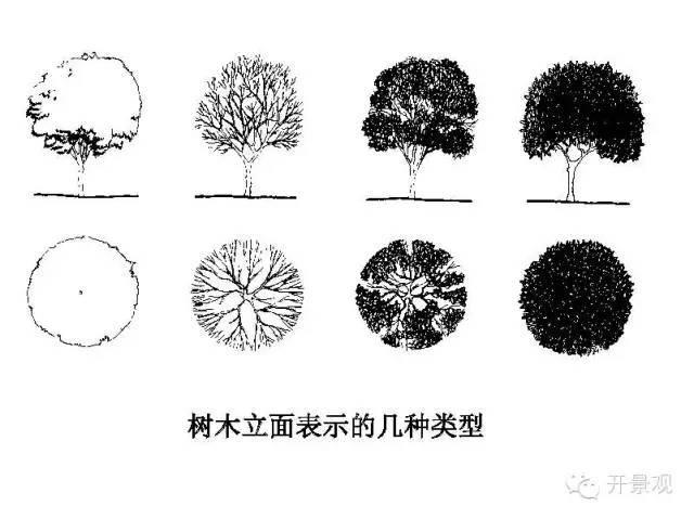 植物图例参考-园林景观植物