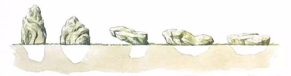 园林建设和健康
