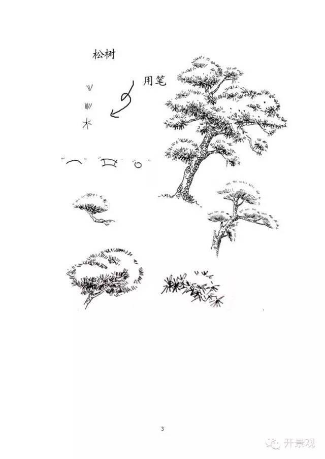 植物图例参考-园林景观植物