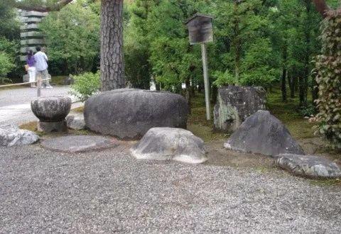 园林建设和健康