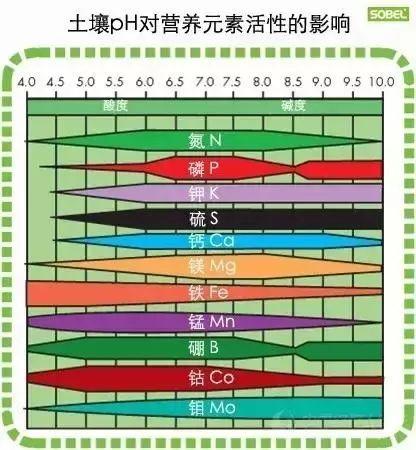 土壤“生病”了！怪不得用那么多肥料也白搭，不容小视