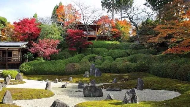 园林建设和健康