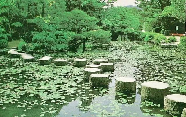 园林建设和健康