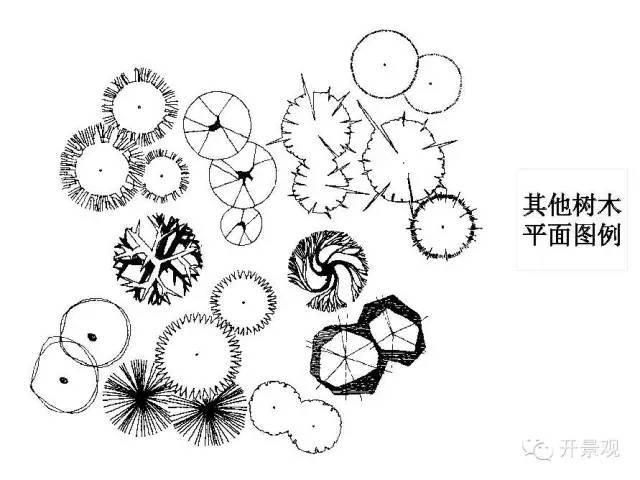 植物图例参考-园林景观植物