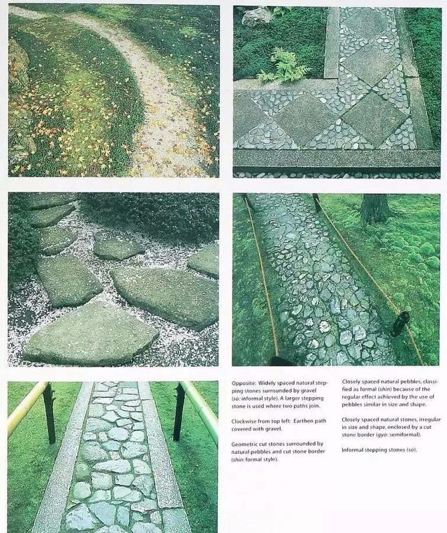 园林建设和健康