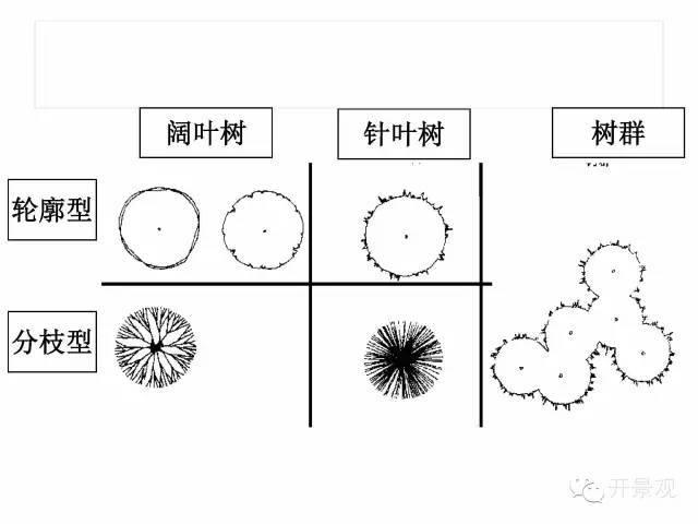 植物图例参考-园林景观植物
