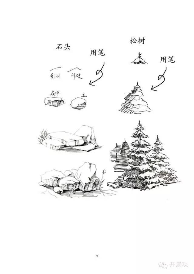 植物图例参考-园林景观植物