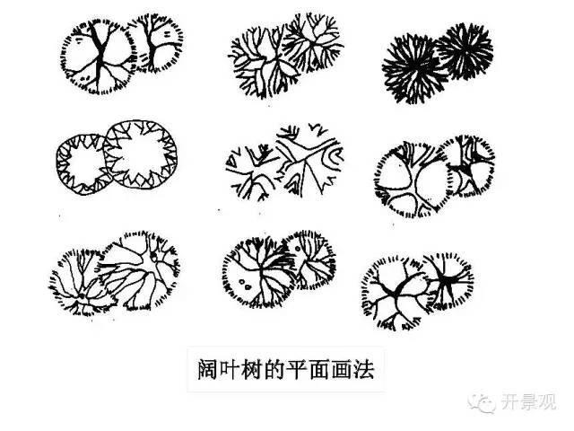 植物图例参考-园林景观植物