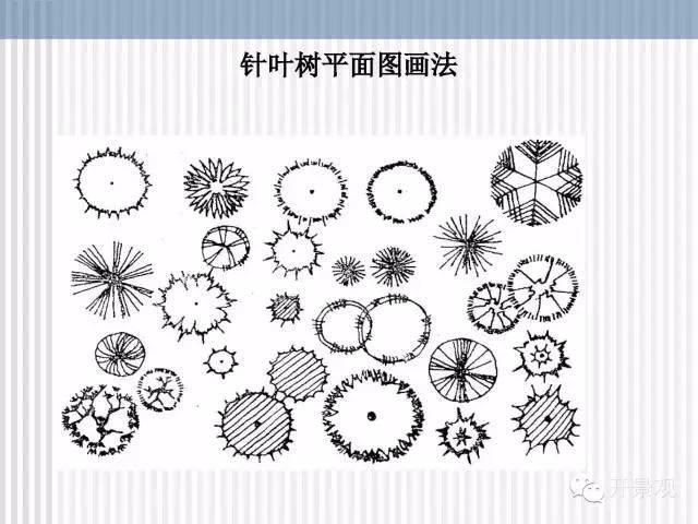 植物图例参考-园林景观植物