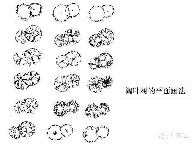 植物图例参考-园林景观植物