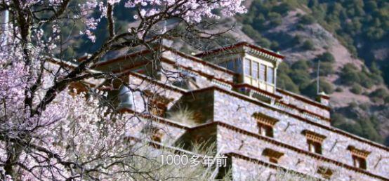 把中国的35000种植物讲给世界听，治愈我一整个冬天