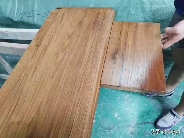 “万木之王”柚木，如此美丽的秘密!