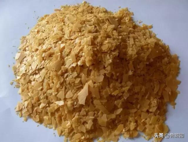 “万木之王”柚木，如此美丽的秘密!