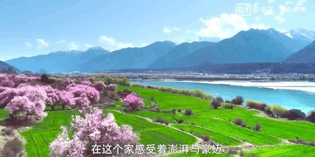 把中国的35000种植物讲给世界听，治愈我一整个冬天