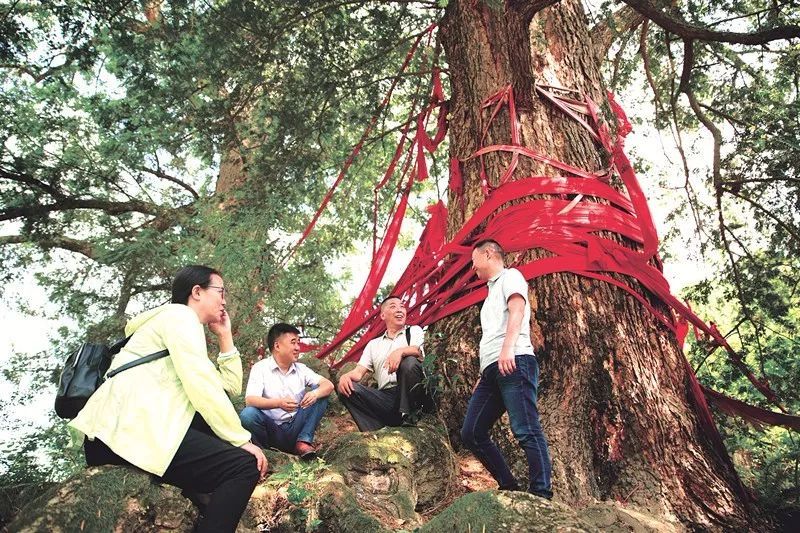 生态奇观 巴渝瑰宝