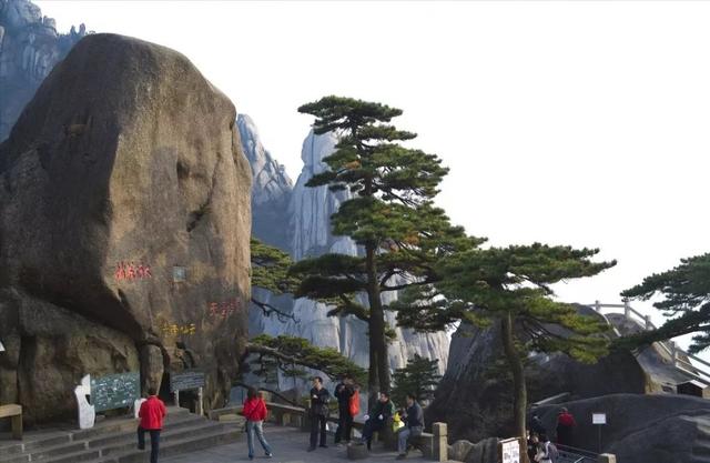 世界林业发展的七大趋势