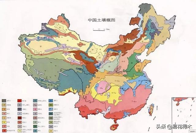 我国土壤分布以及酸碱度辨识，如何根据花卉配制植料？