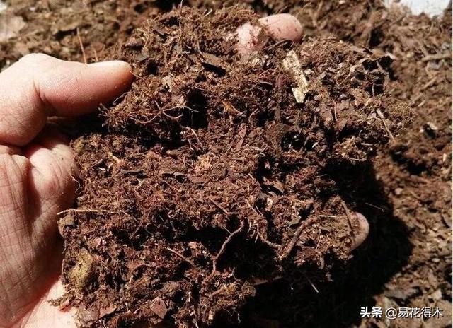 我国土壤分布以及酸碱度辨识，如何根据花卉配制植料？