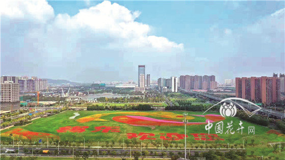 花海应注重新优花卉与细节打造 ———访北京中世花卉公司总经理付文锋