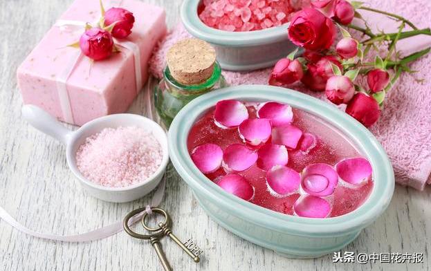 观花，只能满足眼睛！食花，却能满足味蕾