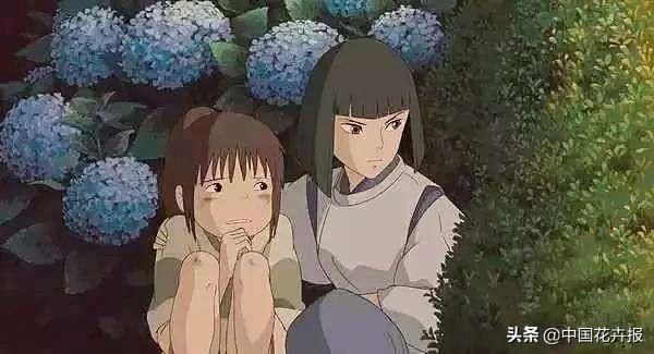 《千与千寻》里出镜率最高的这种花你认识吗？