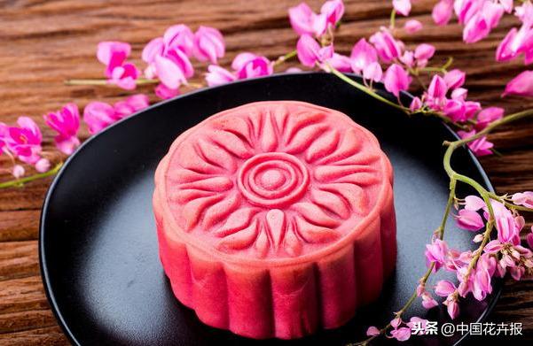 观花，只能满足眼睛！食花，却能满足味蕾