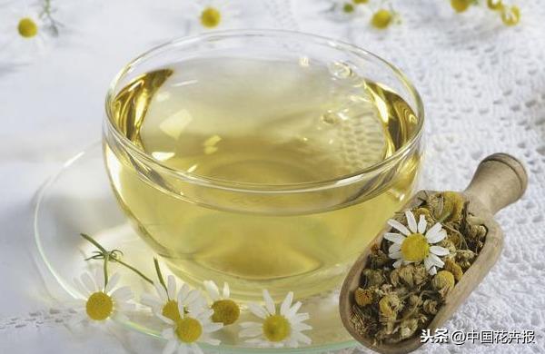 观花，只能满足眼睛！食花，却能满足味蕾