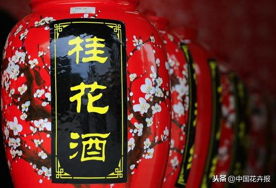 观花，只能满足眼睛！食花，却能满足味蕾
