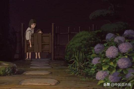 《千与千寻》里出镜率最高的这种花你认识吗？