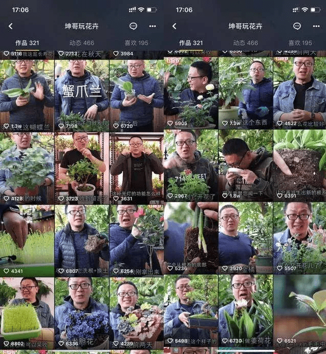 直播带货风口正旺 园艺电商迎风而起？