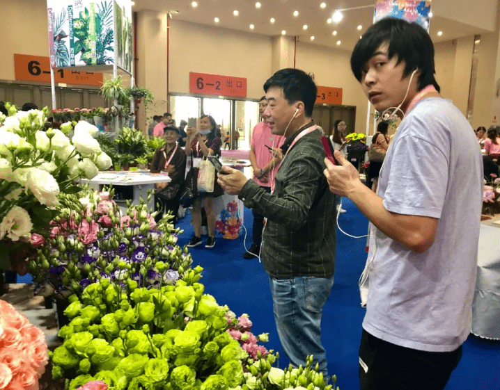 直播带货风口正旺 园艺电商迎风而起？