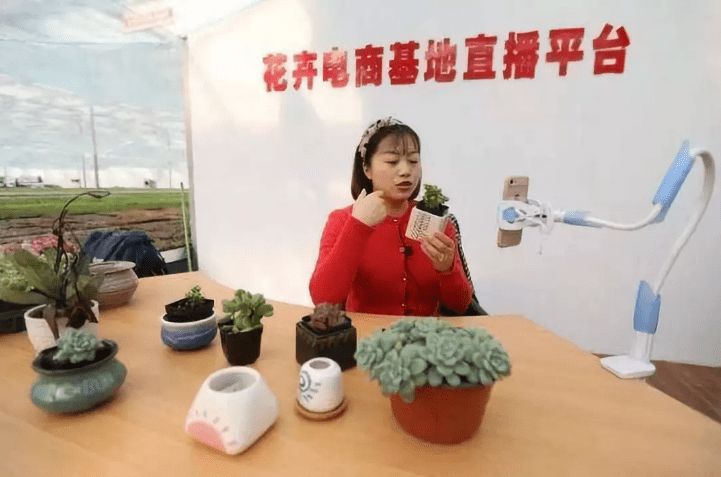 直播带货风口正旺 园艺电商迎风而起？