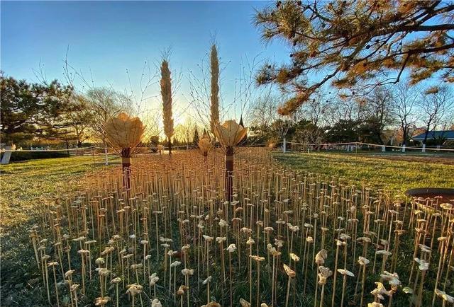 海南发展花卉产业；​中国花卉种植面积达2445万亩