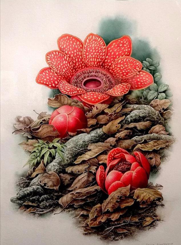 海南发展花卉产业；​中国花卉种植面积达2445万亩