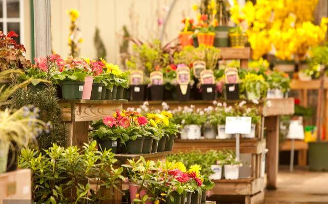 花店引流原来可以这样？