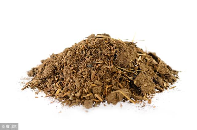 兰花底肥怎么加？重点考虑1件事，肥效立竿见影，叶茂花多