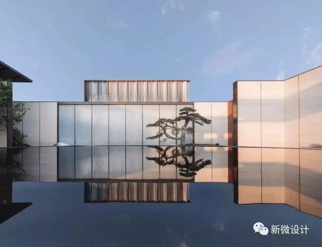 一棵树造就一个景