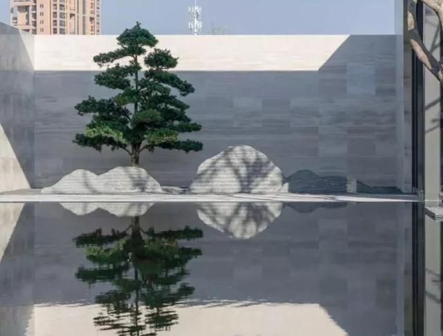 一棵树造就一个景