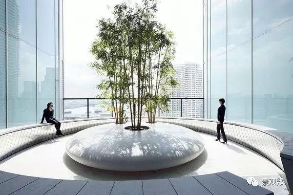 一棵树造就一个景