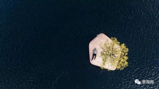 一棵树造就一个景