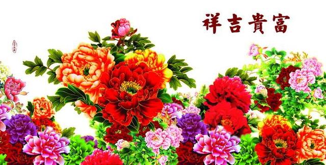国花之选中，牡丹为什么呼声很高？