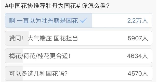 国花之选中，牡丹为什么呼声很高？