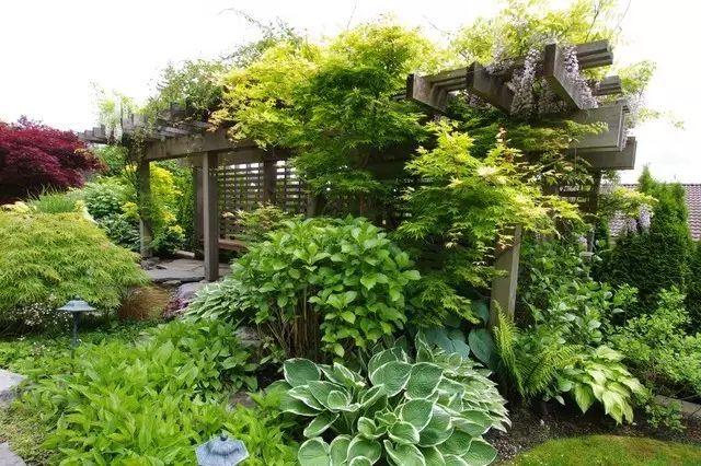 庭院设计：与自然融为一体庭院的花园庭院